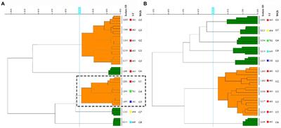 Evaluation of IR Biotyper for carbapenem-resistant Pseudomonas aeruginosa typing and its application potential for the investigation of nosocomial infection